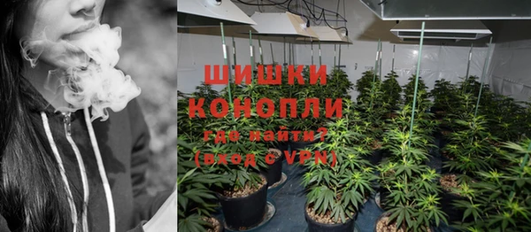 бошки Алексин