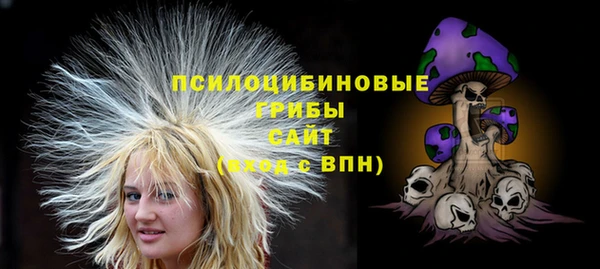 бошки Алексин