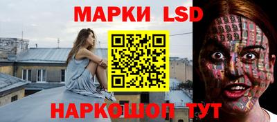 спиды Гатчина