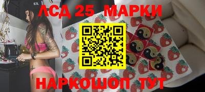 спиды Гатчина