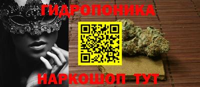 MDMA Premium VHQ Гай