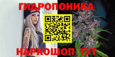 спиды Гатчина