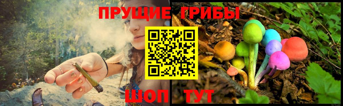 Галлюциногенные грибы GOLDEN TEACHER  Вход с VPN  Большой Камень 